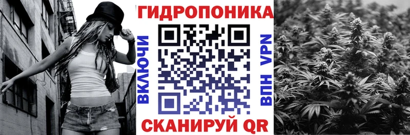 Бошки марихуана AK-47  что такое   Сафоново 